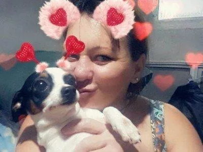 Cirurgia de cachorro