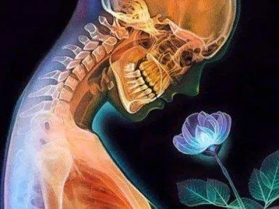 Ajudem a ana a consertar os dentes
