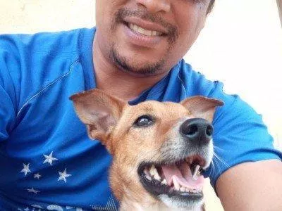 Ajudem meu cachorro a andar novamente