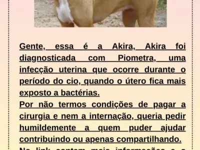 Ajude a salvar a Akira